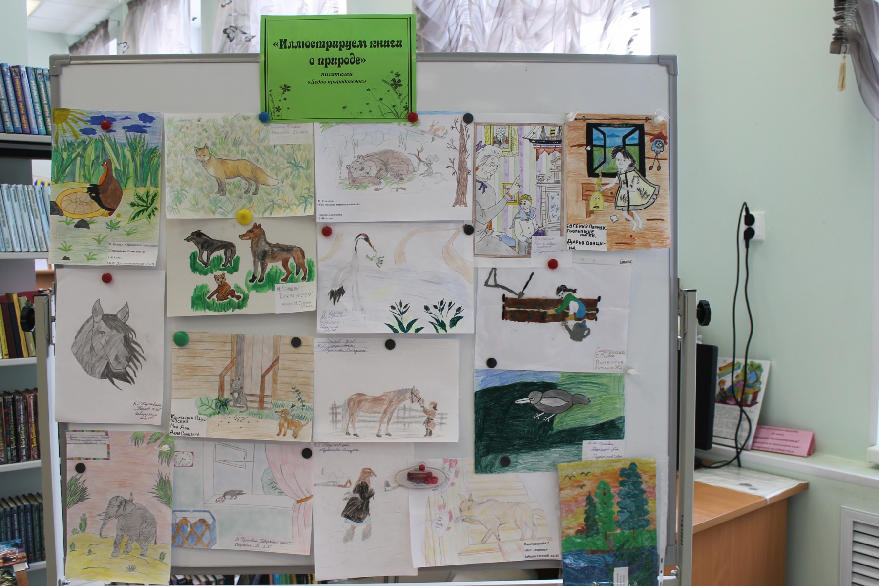 рисунки участников конкурса "Иллюстрируем книги о природе писателей Дедов Природоведов"