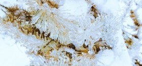 Этот месяц - утро года, просыпается природа...