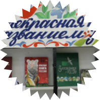 Удивительное рядом