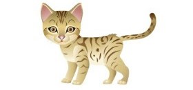 "Живут на свете кошки"