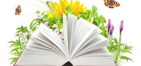 Библиоканикулы