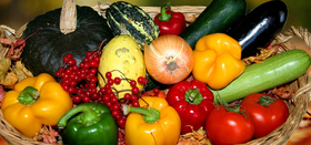 «Палисадник» в библиотеке