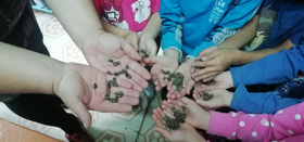 Урок природы в библиотеке