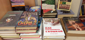 "Щедрые дарители" в Рощинской библиотеке