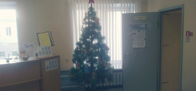 «Книжная ёлка»