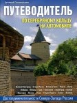 По серебряному кольцу на автомобиле