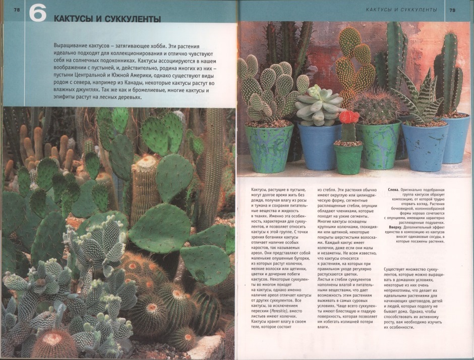 Разворот книги Сквайер, Д. Комнатные растения : практическое руководство / Дэвид Сквайер, Маргарет Кроутер. – Москва, Омега : 2008.